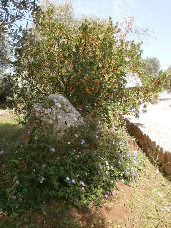 Trullo Villa Giuliana Con Giardino Posizione Panoramica Free Wifi Ostuni Eksteriør bilde