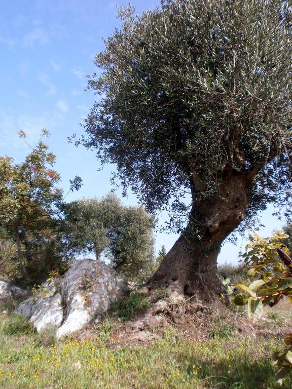 Trullo Villa Giuliana Con Giardino Posizione Panoramica Free Wifi Ostuni Eksteriør bilde