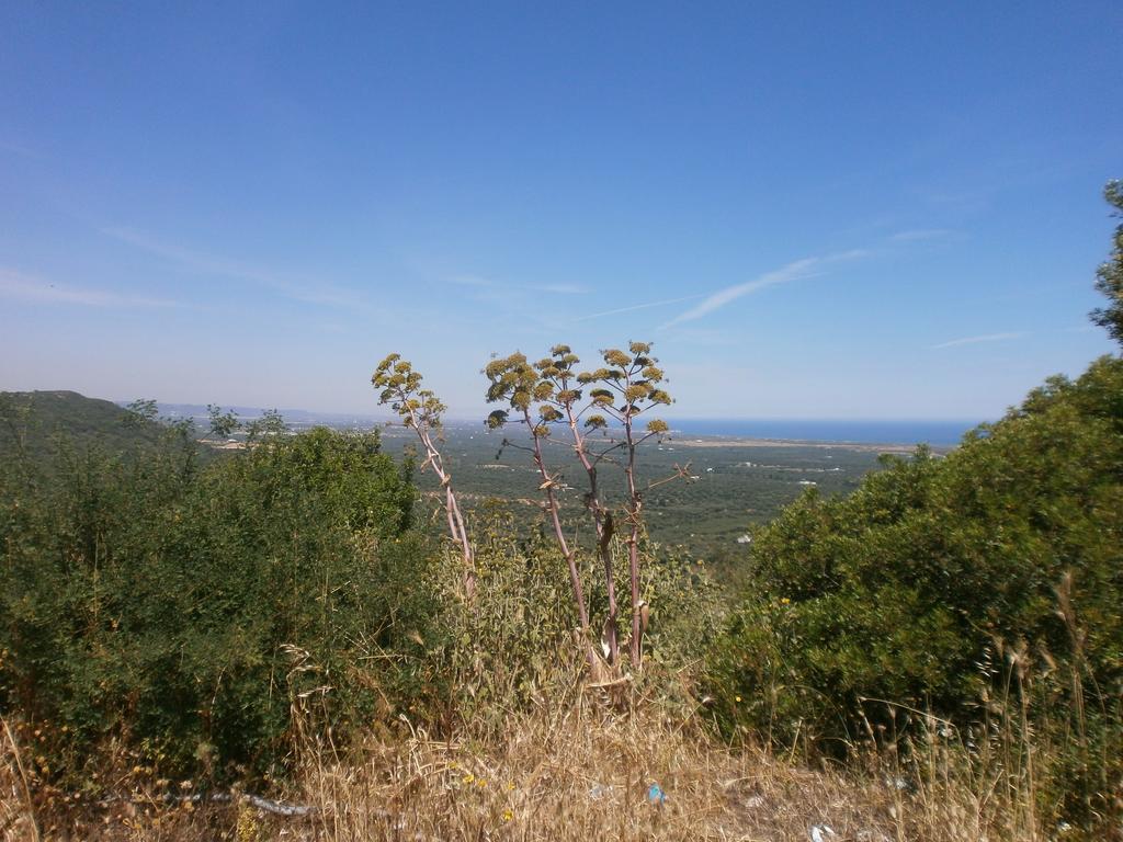 Trullo Villa Giuliana Con Giardino Posizione Panoramica Free Wifi Ostuni Rom bilde