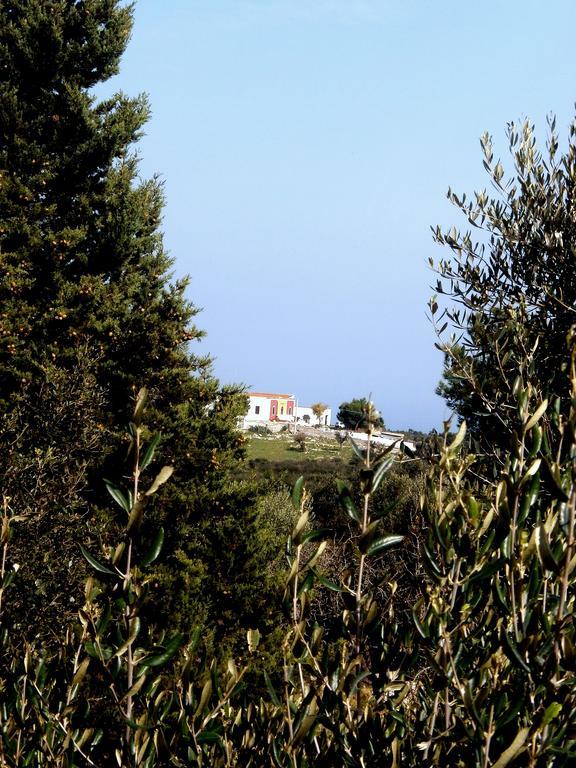 Trullo Villa Giuliana Con Giardino Posizione Panoramica Free Wifi Ostuni Rom bilde